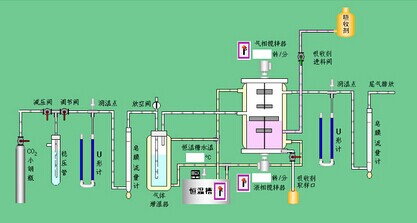 无码AV免费精品一区二区三区