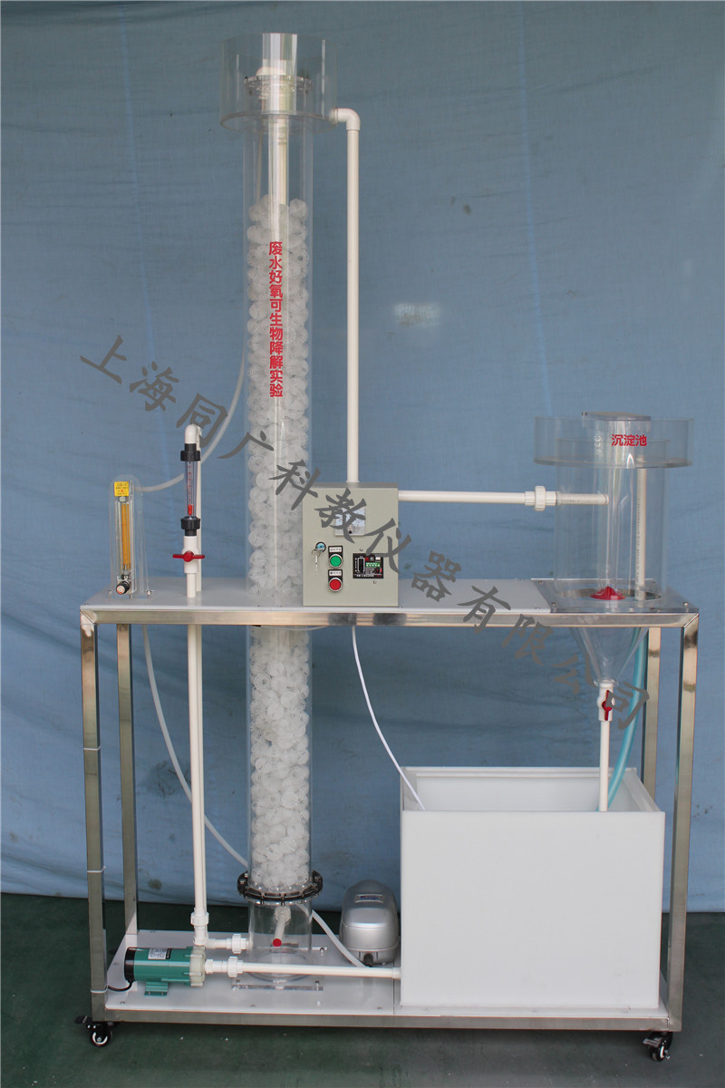 无码AV免费精品一区二区三区