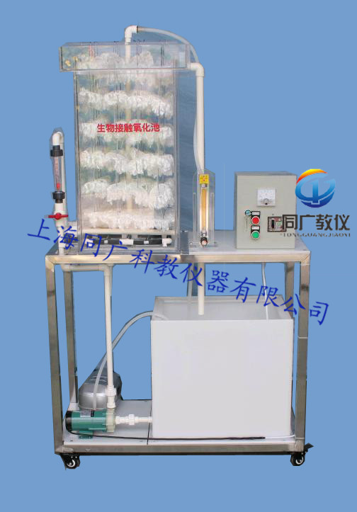 无码AV免费精品一区二区三区