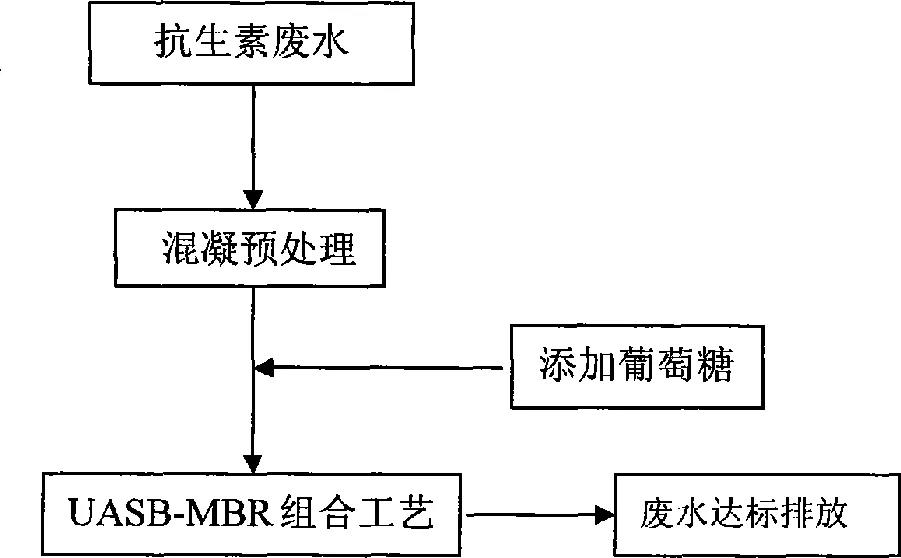 无码AV免费精品一区二区三区